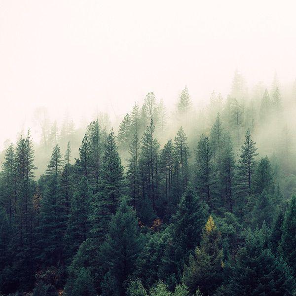 Serene environment with perfect harmony